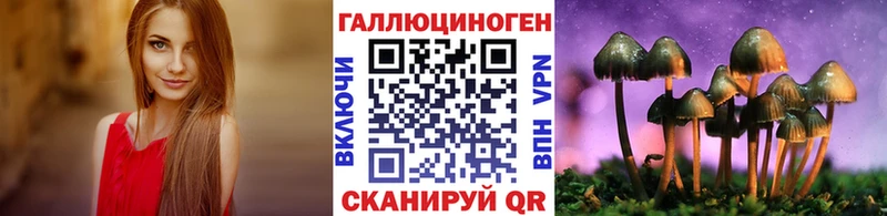 Галлюциногенные грибы Cubensis  Урюпинск 