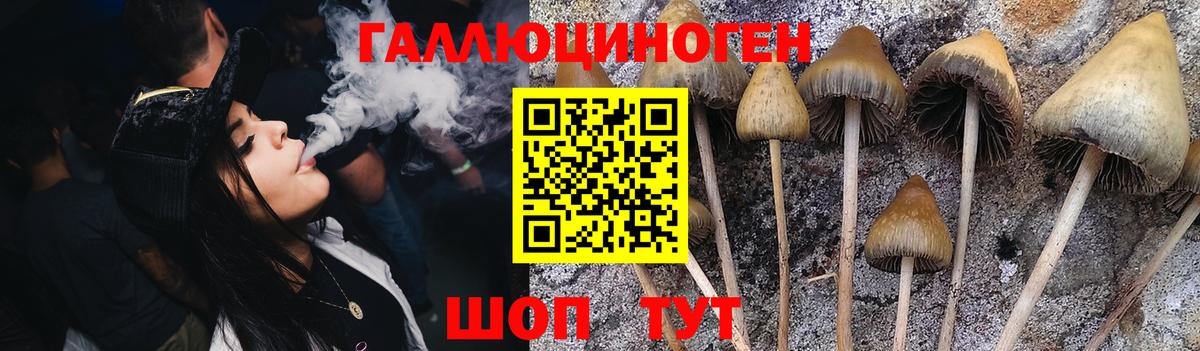 Урюпинск  Галлюциногенные грибы GOLDEN TEACHER  Псилоцибиновые грибы MAGIC MUSHROOMS  Вход с VPN 