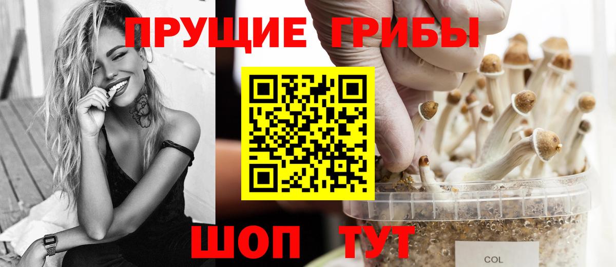 Псилоцибиновые грибы мицелий  Урюпинск 