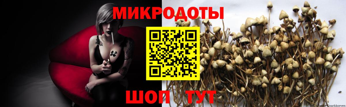 Псилоцибиновые грибы ЛСД Урюпинск